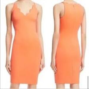 Guess Orange Bodycon Dress With Scalloped Neckline Size XS